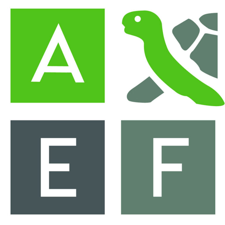 TEFN Yearbook Texas Education Foundation Network (TEFN)